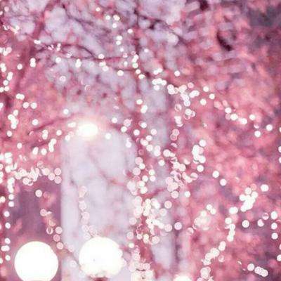 中欧体育app下载官网